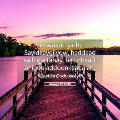 Picture 05 - Bilowgii 18:3 SOM - oo wuxuu yidhi, Sayidkaygiiyow, haddaad raalli - Bible Verse Picture
