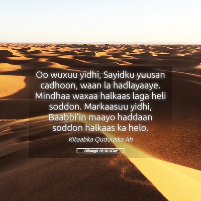 Picture 05 - Bilowgii 18:30 SOM - Oo wuxuu yidhi, Sayidku yuusan cadhoon, waan la - Bible Verse Picture