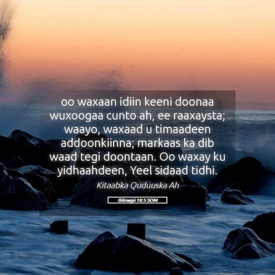 Picture 05 - Bilowgii 18:5 SOM - oo waxaan idiin keeni doonaa wuxoogaa cunto ah, - Bible Verse Picture