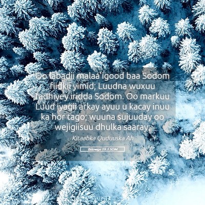 Picture 05 - Bilowgii 19:1 SOM - Oo labadii malaa'igood baa Sodom fiidkii yimid; - Bible Verse Picture