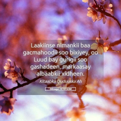 Picture 05 - Bilowgii 19:10 SOM - Laakiinse nimankii baa gacmahoodii soo bixiyey, - Bible Verse Picture