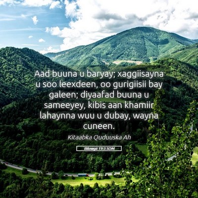 Picture 05 - Bilowgii 19:3 SOM - Aad buuna u baryay; xaggiisayna u soo leexdeen, - Bible Verse Picture