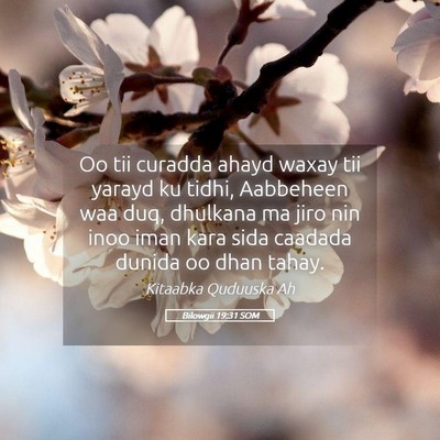 Picture 05 - Bilowgii 19:31 SOM - Oo tii curadda ahayd waxay tii yarayd ku tidhi, - Bible Verse Picture