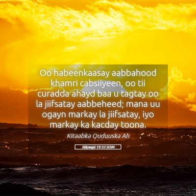 Picture 05 - Bilowgii 19:33 SOM - Oo habeenkaasay aabbahood khamri cabsiiyeen, oo - Bible Verse Picture