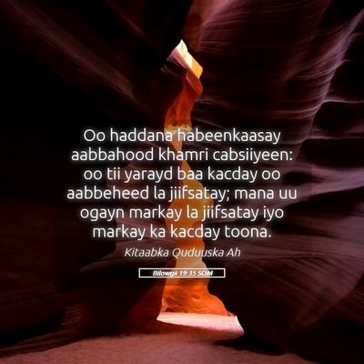 Picture 05 - Bilowgii 19:35 SOM - Oo haddana habeenkaasay aabbahood khamri - Bible Verse Picture