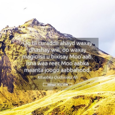 Picture 05 - Bilowgii 19:37 SOM - Oo tii curaddii ahayd waxay dhashay wiil, oo - Bible Verse Picture