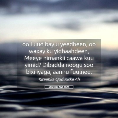 Picture 05 - Bilowgii 19:5 SOM - oo Luud bay u yeedheen, oo waxay ku yidhaahdeen, - Bible Verse Picture