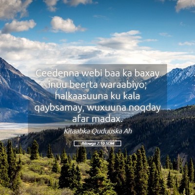 Picture 05 - Bilowgii 2:10 SOM - Ceedenna webi baa ka baxay inuu beerta waraabiyo; - Bible Verse Picture