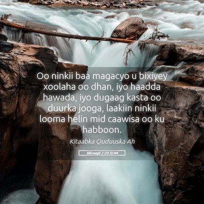 Picture 05 - Bilowgii 2:20 SOM - Oo ninkii baa magacyo u bixiyey xoolaha oo dhan, - Bible Verse Picture