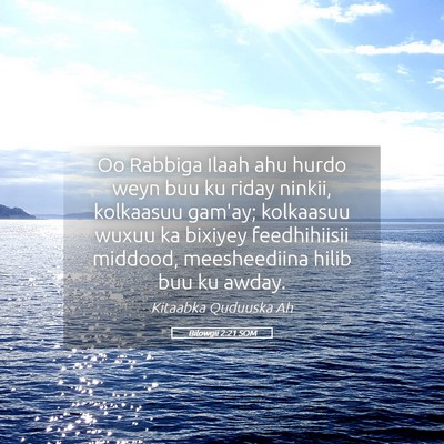Picture 05 - Bilowgii 2:21 SOM - Oo Rabbiga Ilaah ahu hurdo weyn buu ku riday - Bible Verse Picture