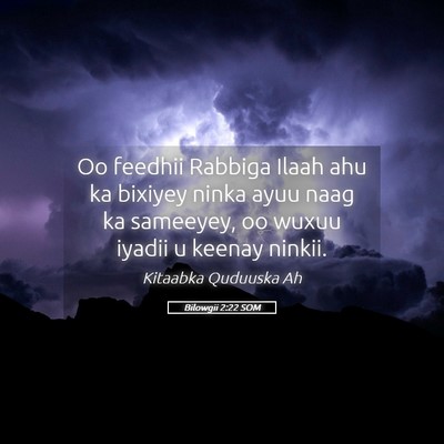 Picture 05 - Bilowgii 2:22 SOM - Oo feedhii Rabbiga Ilaah ahu ka bixiyey ninka - Bible Verse Picture