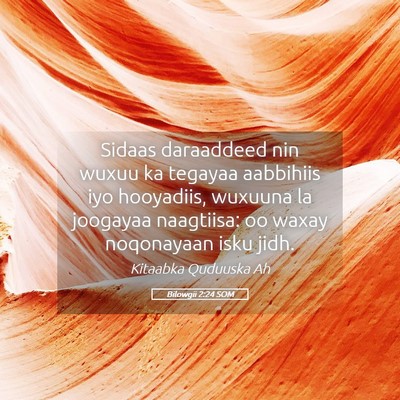 Picture 05 - Bilowgii 2:24 SOM - Sidaas daraaddeed nin wuxuu ka tegayaa aabbihiis - Bible Verse Picture