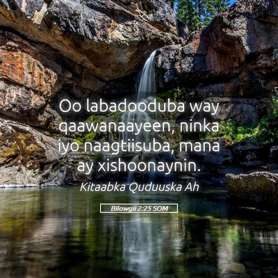Picture 05 - Bilowgii 2:25 SOM - Oo labadooduba way qaawanaayeen, ninka iyo - Bible Verse Picture