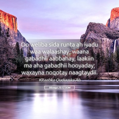 Picture 05 - Bilowgii 20:12 SOM - Oo weliba sida runta ah iyadu waa walaashay, - Bible Verse Picture