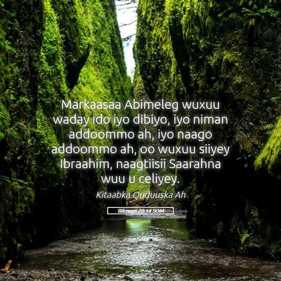 Picture 05 - Bilowgii 20:14 SOM - Markaasaa Abimeleg wuxuu waday ido iyo dibiyo, - Bible Verse Picture