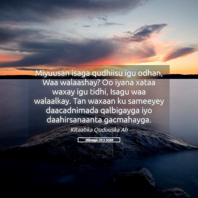 Picture 05 - Bilowgii 20:5 SOM - Miyuusan isaga qudhiisu igu odhan, Waa walaashay? - Bible Verse Picture