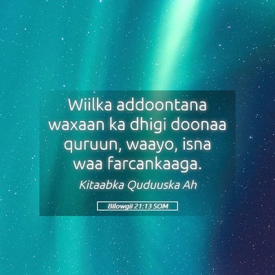 Picture 05 - Bilowgii 21:13 SOM - Wiilka addoontana waxaan ka dhigi doonaa quruun, - Bible Verse Picture