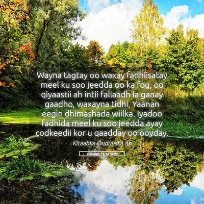 Picture 05 - Bilowgii 21:16 SOM - Wayna tagtay oo waxay fadhiisatay meel ku soo - Bible Verse Picture