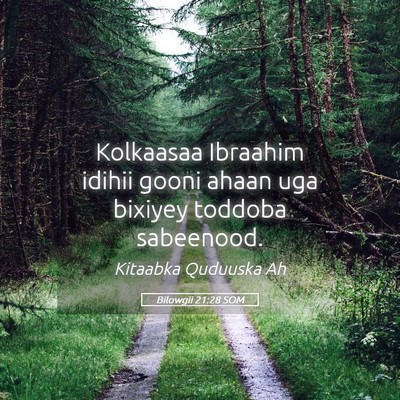 Picture 05 - Bilowgii 21:28 SOM - Kolkaasaa Ibraahim idihii gooni ahaan uga bixiyey - Bible Verse Picture