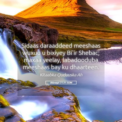 Picture 05 - Bilowgii 21:31 SOM - Sidaas daraaddeed meeshaas wuxuu u bixiyey Bi'ir - Bible Verse Picture