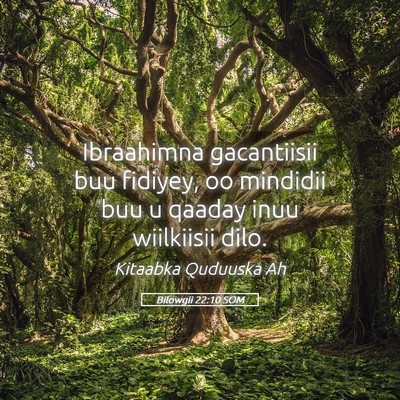 Picture 05 - Bilowgii 22:10 SOM - Ibraahimna gacantiisii buu fidiyey, oo mindidii - Bible Verse Picture