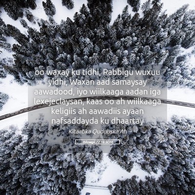 Picture 05 - Bilowgii 22:16 SOM - oo waxay ku tidhi, Rabbigu wuxuu yidhi, Waxan aad - Bible Verse Picture