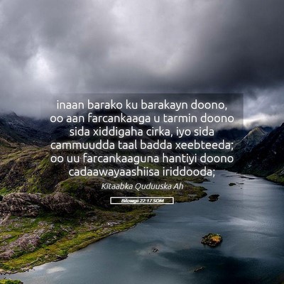 Picture 05 - Bilowgii 22:17 SOM - inaan barako ku barakayn doono, oo aan - Bible Verse Picture
