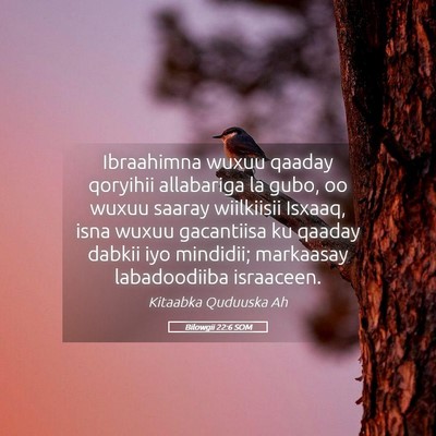 Picture 05 - Bilowgii 22:6 SOM - Ibraahimna wuxuu qaaday qoryihii allabariga la - Bible Verse Picture