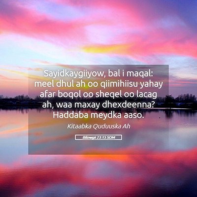 Picture 05 - Bilowgii 23:15 SOM - Sayidkaygiiyow, bal i maqal: meel dhul ah oo - Bible Verse Picture
