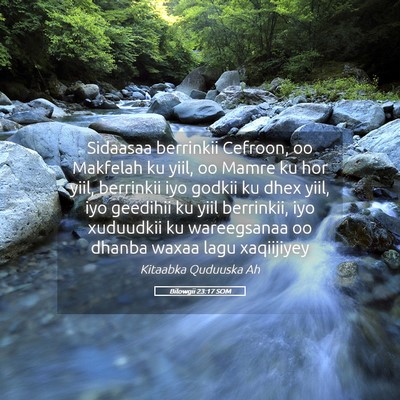 Picture 05 - Bilowgii 23:17 SOM - Sidaasaa berrinkii Cefroon, oo Makfelah ku yiil, - Bible Verse Picture
