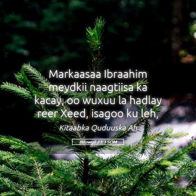 Picture 05 - Bilowgii 23:3 SOM - Markaasaa Ibraahim meydkii naagtiisa ka kacay, oo - Bible Verse Picture