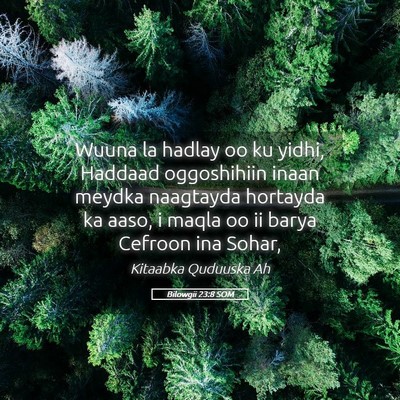 Picture 05 - Bilowgii 23:8 SOM - Wuuna la hadlay oo ku yidhi, Haddaad oggoshihiin - Bible Verse Picture