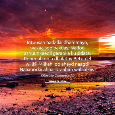 Picture 05 - Bilowgii 24:15 SOM - Intuusan hadalkii dhammayn, waxaa soo baxday, - Bible Verse Picture