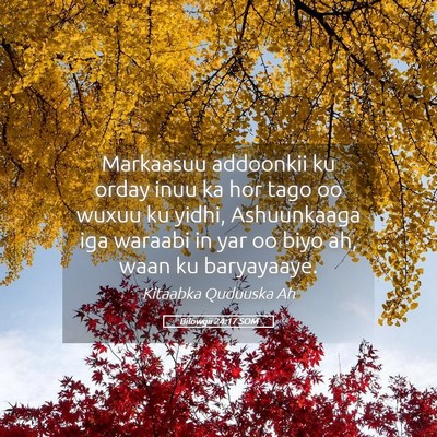 Picture 05 - Bilowgii 24:17 SOM - Markaasuu addoonkii ku orday inuu ka hor tago oo - Bible Verse Picture