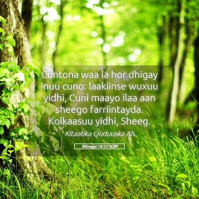 Picture 05 - Bilowgii 24:33 SOM - Cuntona waa la hor dhigay inuu cuno: laakiinse - Bible Verse Picture