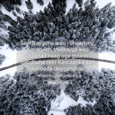 Picture 05 - Bilowgii 24:37 SOM - Sayidkayguna wuu i dhaariyey, isagoo leh, - Bible Verse Picture