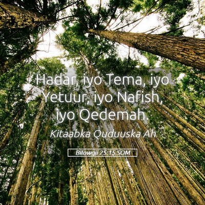 Picture 05 - Bilowgii 25:15 SOM - Hadar, iyo Tema, iyo Yetuur, iyo Nafish, iyo - Bible Verse Picture