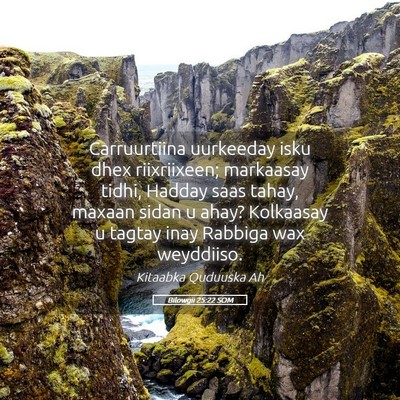 Picture 05 - Bilowgii 25:22 SOM - Carruurtiina uurkeeday isku dhex riixriixeen; - Bible Verse Picture