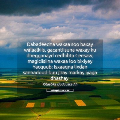 Picture 05 - Bilowgii 25:26 SOM - Dabadeedna waxaa soo baxay walaalkiis, - Bible Verse Picture