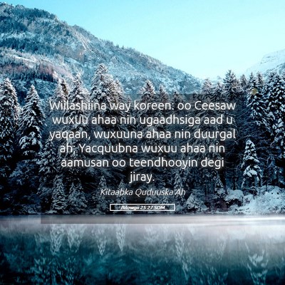 Picture 05 - Bilowgii 25:27 SOM - Wiilashiina way koreen: oo Ceesaw wuxuu ahaa nin - Bible Verse Picture