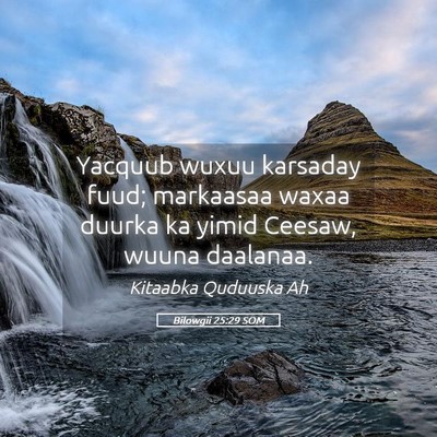 Picture 05 - Bilowgii 25:29 SOM - Yacquub wuxuu karsaday fuud; markaasaa waxaa - Bible Verse Picture