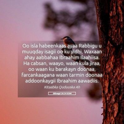 Picture 05 - Bilowgii 26:24 SOM - Oo isla habeenkaas ayaa Rabbigu u muuqday isagii - Bible Verse Picture