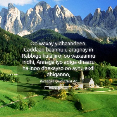 Picture 05 - Bilowgii 26:28 SOM - Oo waxay yidhaahdeen, Caddaan baannu u aragnay in - Bible Verse Picture