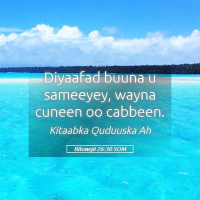 Picture 05 - Bilowgii 26:30 SOM - Diyaafad buuna u sameeyey, wayna cuneen oo - Bible Verse Picture