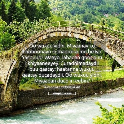 Picture 05 - Bilowgii 27:36 SOM - Oo wuxuu yidhi, Miyaanay ku habboonayn in - Bible Verse Picture