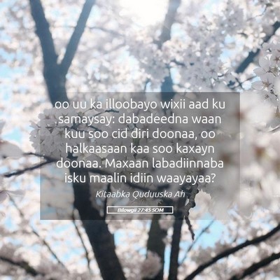 Picture 05 - Bilowgii 27:45 SOM - oo uu ka illoobayo wixii aad ku samaysay: - Bible Verse Picture