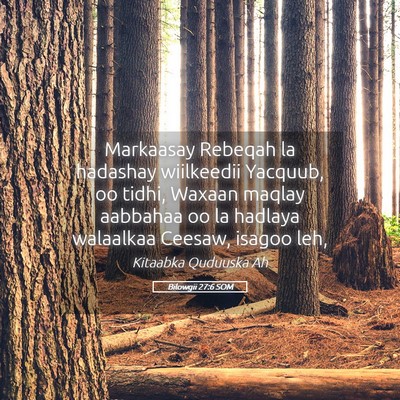 Picture 05 - Bilowgii 27:6 SOM - Markaasay Rebeqah la hadashay wiilkeedii Yacquub, - Bible Verse Picture