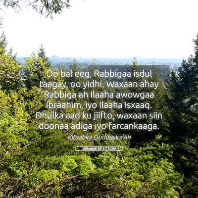 Picture 05 - Bilowgii 28:13 SOM - Oo bal eeg, Rabbigaa isdul taagay, oo yidhi, - Bible Verse Picture