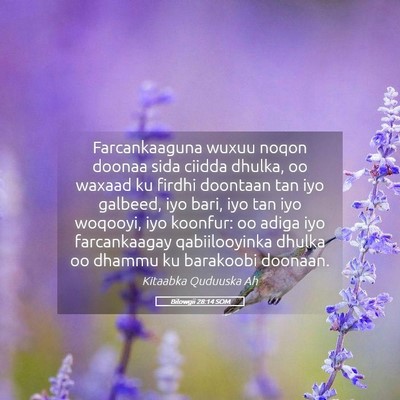 Picture 05 - Bilowgii 28:14 SOM - Farcankaaguna wuxuu noqon doonaa sida ciidda - Bible Verse Picture