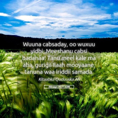 Picture 05 - Bilowgii 28:17 SOM - Wuuna cabsaday, oo wuxuu yidhi, Meeshanu cabsi - Bible Verse Picture
